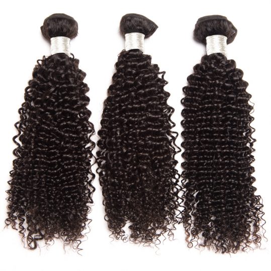 ALIPOP Malaysian Kinky Curly Hair Bundles Human Hair Bundles Double Weft Non Remy Hair Extension 1PC Hair Weave Can be dyed