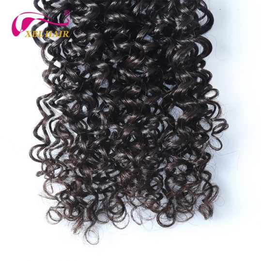 XBL HAIR Unprocessed Brazilian Virgin Hair Curly Weave Human Hair Extensions Natural Color 1 Bundle 8"-30" Inches Free Shipping