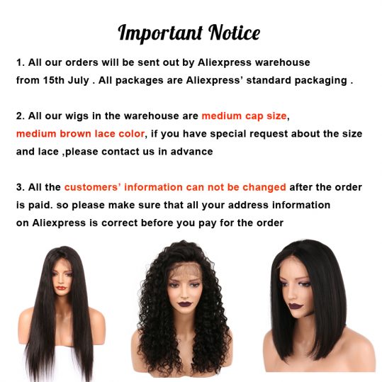 Sunnymay Peruvian Remy Pre Plucked African American Kinky Straight Lace Front Human Hair Wigs With Baby Hair