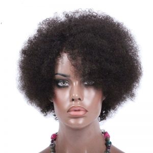 None Lace Human Hair Wigs For Black Women Brazilian Virgin Human Hair Afro Kinky Curly Hair Wig 8-12Inch