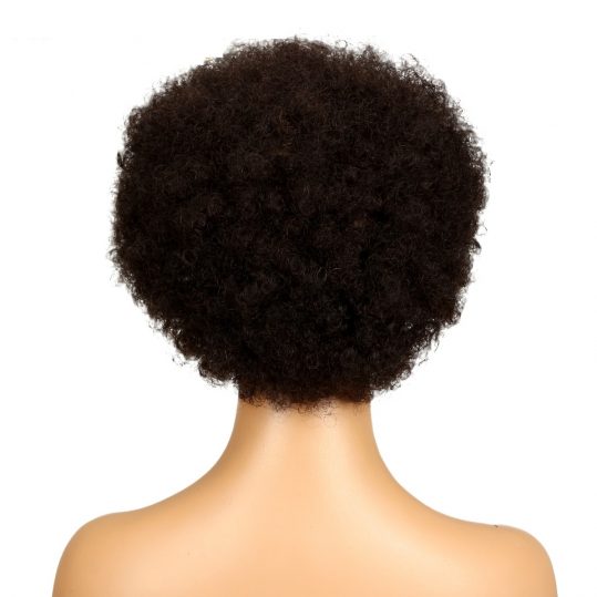 Short Brazilian Afro Kinky Curly Wig Color 2# Dark Brown Remy Human Hair Kinky Curly Non Lace Wigs For Women