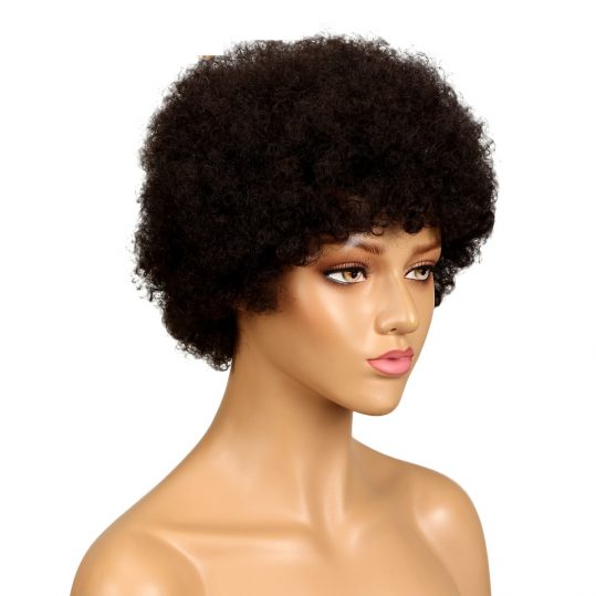 Short Brazilian Afro Kinky Curly Wig Color 2# Dark Brown Remy Human Hair Kinky Curly Non Lace Wigs For Women