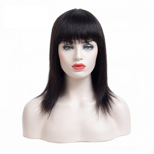 Straight Wigs Remy Brazilian Human Hair For Women 100% Human Hair 10 Inch